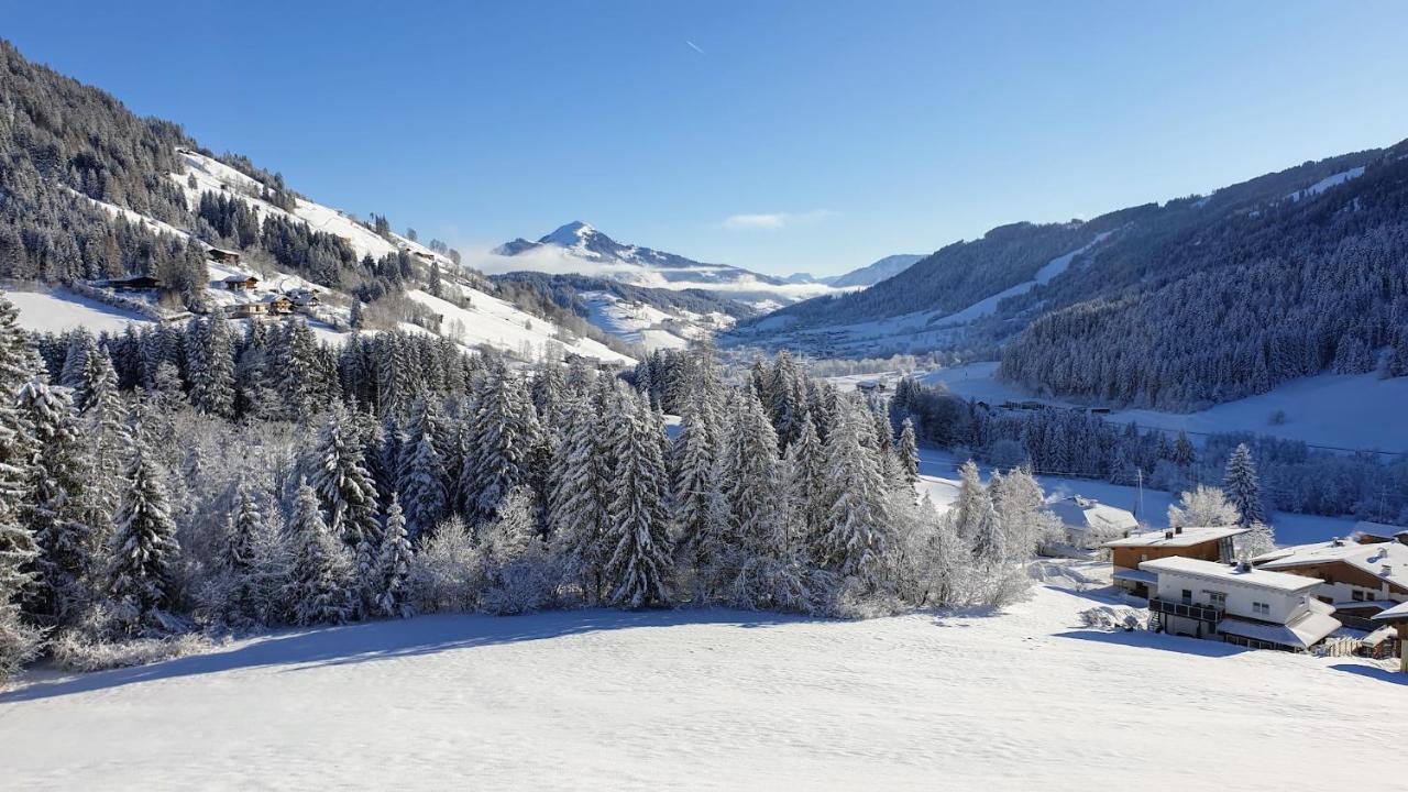 Ferienwohnung Zauberwinkelweg Mit Traum-Aussicht! Wildschonau Εξωτερικό φωτογραφία